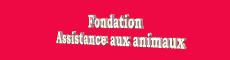 Fondation assistance aux animaux, Animals rescue in France